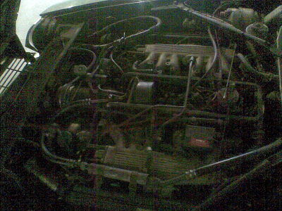 1 (3)_opt.jpg