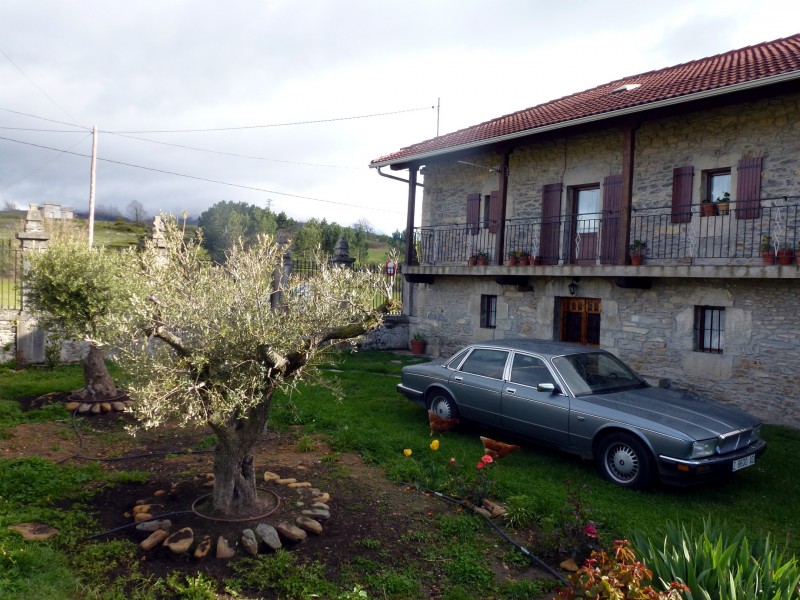P1010167.jpg