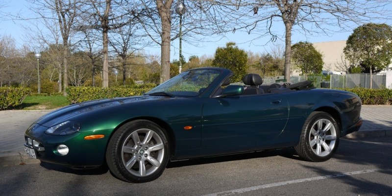 forojaguar.jpg