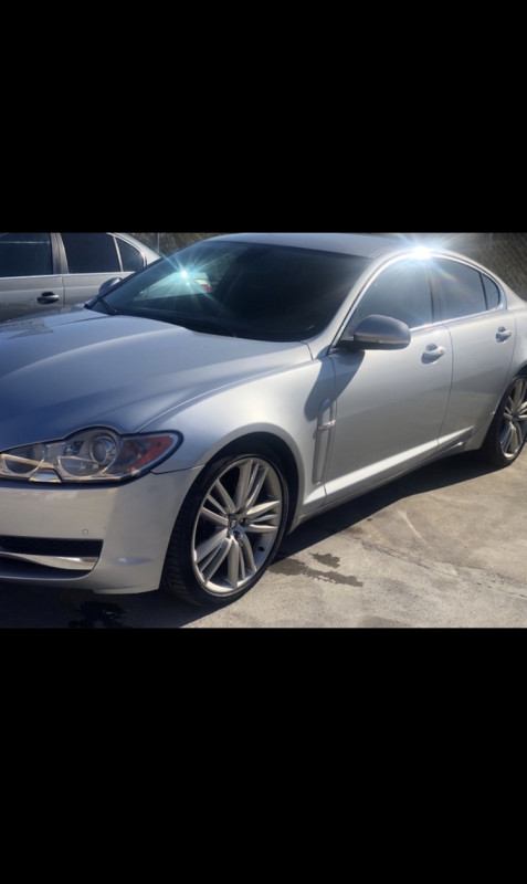 B3EBA1E9-E14C-44F1-B537-137B68D649FC.jpeg (131.71 KiB) Visto 3389 veces Este es el bicho