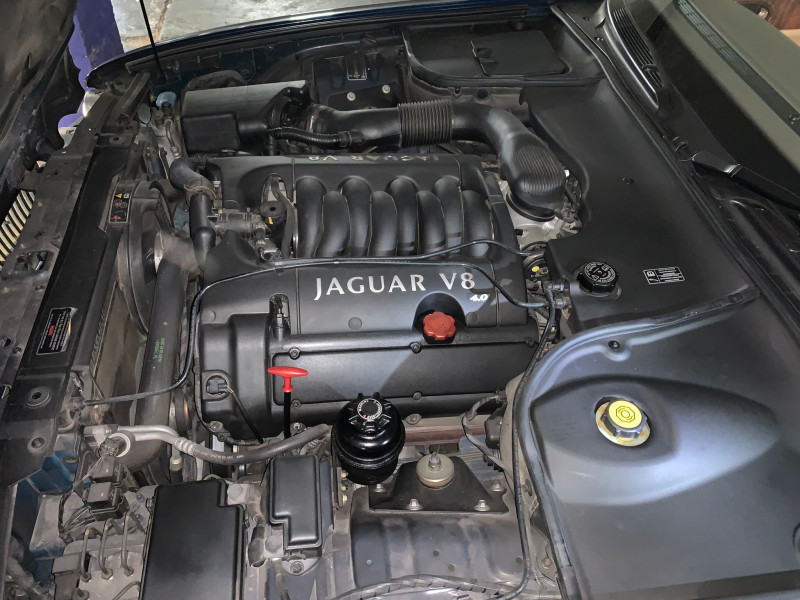 Motor
