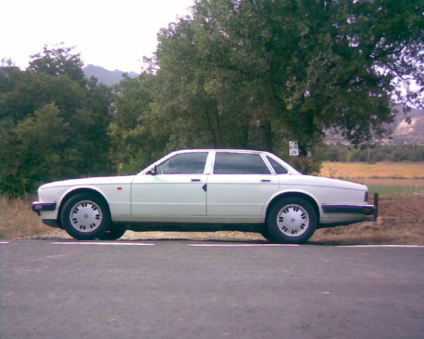 imagen202r.jpg