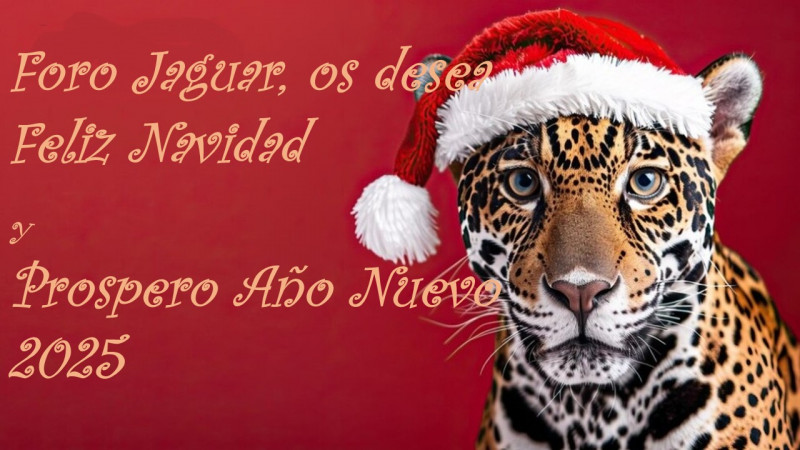 nuevo_2025_jpeg_ok.jpg