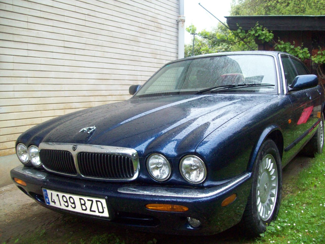 100_4673.jpg